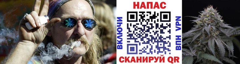 Конопля план Старица